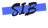 Social Inclusion Berlin e.V.